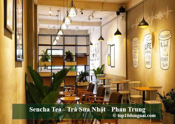 Sencha Tea - Trà Sữa Nhật - Phan Trung