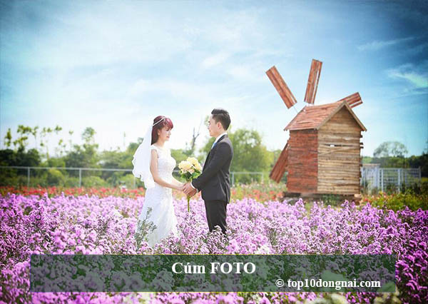 Studio chụp ảnh cưới Biên Hòa là địa chỉ lý tưởng cho những cặp đôi mong muốn tạo nên những bức ảnh hoàn hảo nhất cho ngày cưới của mình. Với không gian và thiết bị chuyên nghiệp, bạn sẽ hài lòng với những hình ảnh tuyệt đẹp nhất!