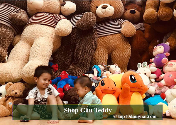 Shop gấu teddy