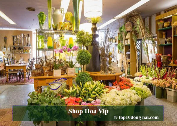 Shop Hoa Vip