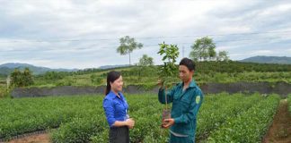 Trung tâm cấp cây giống Đồng Nai